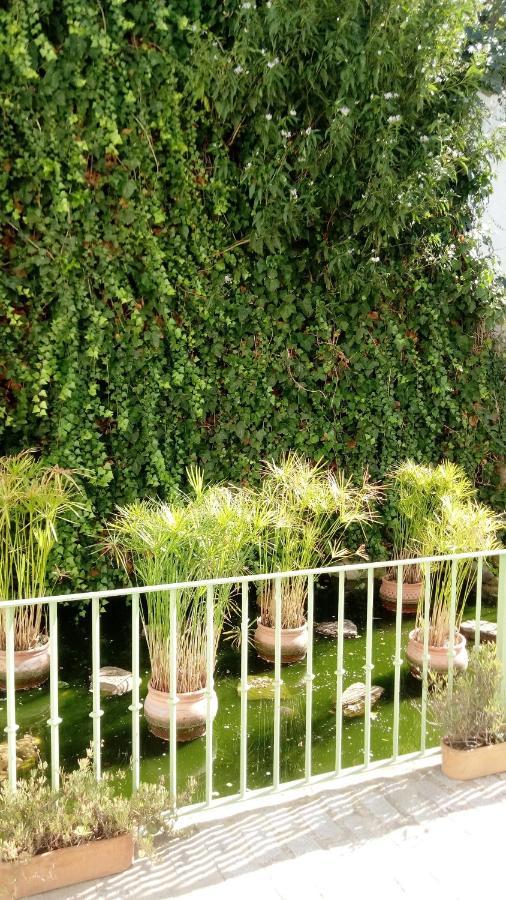 Appartement Gravina Comfort