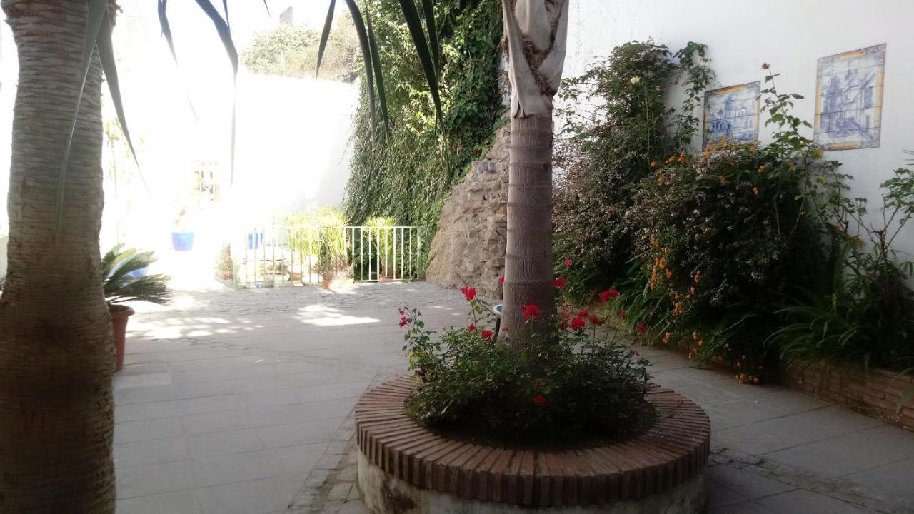 Gravina Comfort Tarifa